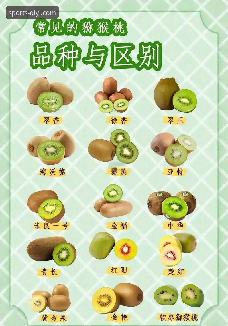 最新奇异果怎么样 揭秘奇异果最新版本:流畅度、画质与会员福利的深度剖析
