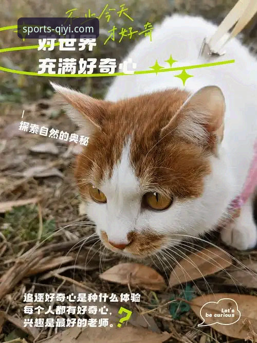 奇异果苹果版 奇异果苹果版深度使用指南:从下载到流畅观影的完整攻略